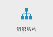 组织结构